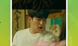 舅子爆料原神视频大全下载,下载攻略与精彩内容抢先看